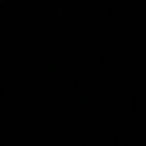 Meet your Posher, Jaylan